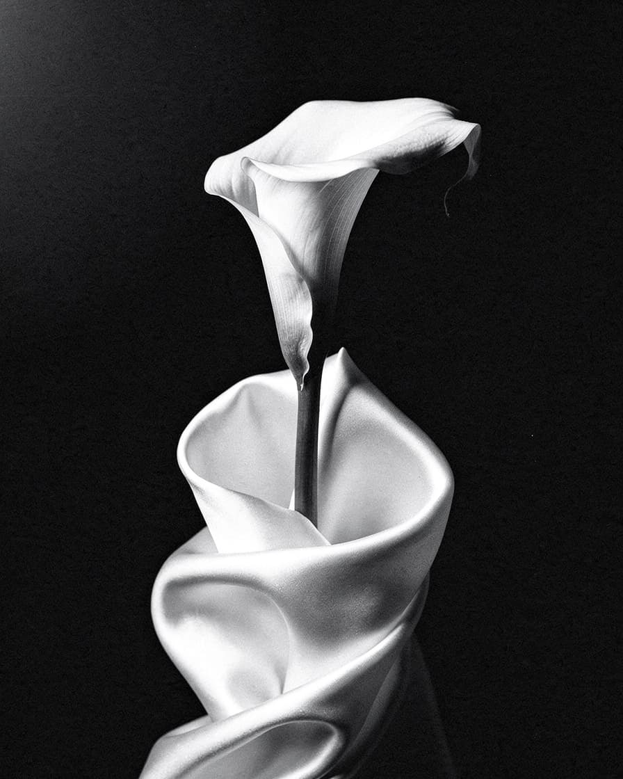 Fotografía editorial en blanco y negro